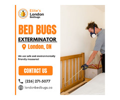 Bed Bugs Exterminator in London | free-classifieds-canada.com - 1