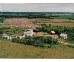 Farm For Sale Home on 78.51 acres fenced | free-classifieds-canada.com - 1