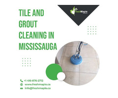 Excellent Tile and Grout Cleaning in Mississauga | free-classifieds-canada.com - 1