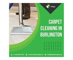 Professional Carpet Cleaning in Burlington | free-classifieds-canada.com - 1