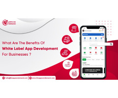 How does white label app development help businesses? | free-classifieds-canada.com - 1