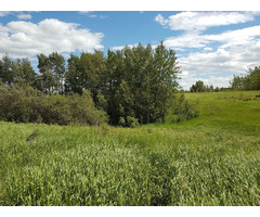Alberta Acreage For Sale | free-classifieds-canada.com - 4