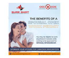Sure shot immigrations Canada's Best Consultancy services | free-classifieds-canada.com - 6