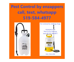 Cockroaches, Bedbugs, Rats, Mice Control by enzappers.ca | free-classifieds-canada.com - 1
