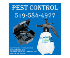 Cockroaches, Bedbugs, Rats, Mice Control by enzappers.ca | free-classifieds-canada.com - 2