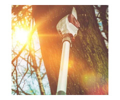 Tree Removal London | free-classifieds-canada.com - 1