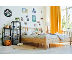  Gorgeous student accommodation toronto | free-classifieds-canada.com - 1