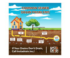 Drain Liner Installation Services in the Edmonton Area  | free-classifieds-canada.com - 1