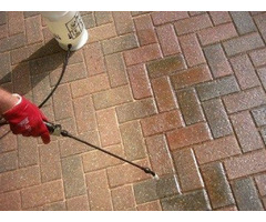 Professional sealing and paving contractor | free-classifieds-canada.com - 1