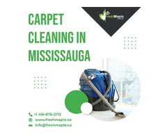Affordalbe Carpet Cleaning in Mississauga Services by Fresh Maple | free-classifieds-canada.com - 1