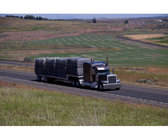 Call NATS Canada for Heavy Haul Trucking Companies | free-classifieds-canada.com - 1