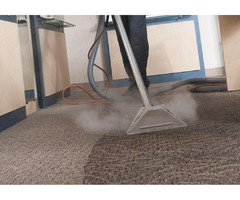 Carpet Steam Cleaning in London Ontario | free-classifieds-canada.com - 1