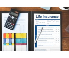Sim Gakhar - Life Insurance Agent & Investments Advisor | free-classifieds-canada.com - 3