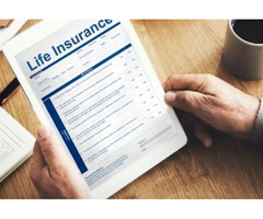 Sim Gakhar - Life Insurance Agent & Investments Advisor | free-classifieds-canada.com - 4