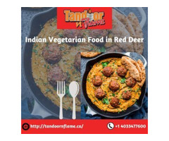 Indian Vegetarian Food in Red Deer | free-classifieds-canada.com - 1