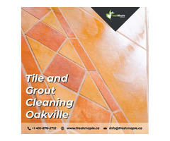 Best Services Of Tile And Grout Cleaning in Oakville | free-classifieds-canada.com - 1