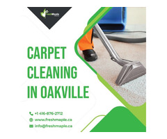  Best Services Of Carpet Cleaning In Oakville for Decades | free-classifieds-canada.com - 1