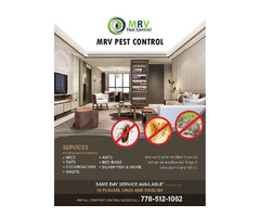 Pest control Service | free-classifieds-canada.com - 1