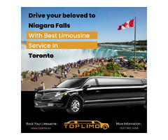 Hire an Executive Limo in Toronto to Travel to Canada | Top Limo | free-classifieds-canada.com - 1