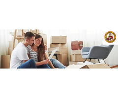 Professional Movers in Toronto | free-classifieds-canada.com - 2