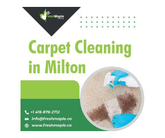 Are You Looking For Best Carpet Cleaning In Milton? | free-classifieds-canada.com - 1