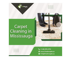Best Carpet Cleaning in Mississauga services by Fresh Maple | free-classifieds-canada.com - 1