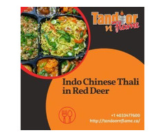 Indo Chinese Thali in Red Deer | free-classifieds-canada.com - 1