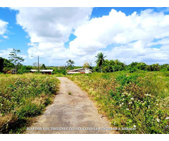 Land for Sale in Trinidad | free-classifieds-canada.com - 4