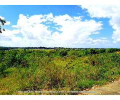 Land for Sale in Trinidad | free-classifieds-canada.com - 5