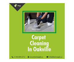 Best Carpet Cleaning in Oakville Services by Fresh Maple | free-classifieds-canada.com - 1