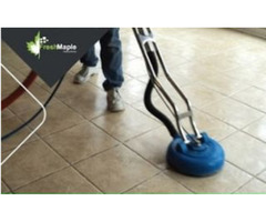 Looking For The Best Services Of Carpet Cleaning in Oakville | free-classifieds-canada.com - 1