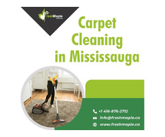 How Much It Cost For Carpet Cleaning in Mississauga Near Me? | free-classifieds-canada.com - 1