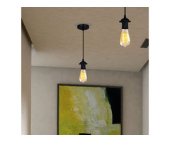 Black E26 PVC Ceiling Rose Pendant Light | free-classifieds-canada.com - 1