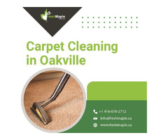 Are You Looking The Best Carpet Cleaning in Oakville? | free-classifieds-canada.com - 1
