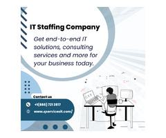 Top IT Staffing Company | free-classifieds-canada.com - 1