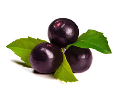 Acai Berry Fruit Juice Powder | free-classifieds-canada.com - 1