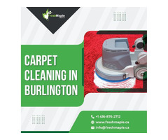 Buy The Best Carpet Cleaning in Burlington Services | free-classifieds-canada.com - 1