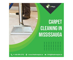 Top Best Carpet Cleaning in Mississauga Services by Fresh Maple | free-classifieds-canada.com - 1