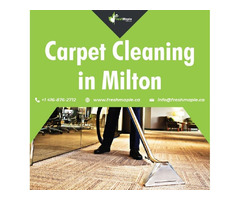 The Best Carpet Cleaning in Milton Services by Fresh Maple | free-classifieds-canada.com - 1