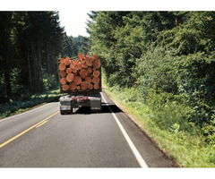 HIRING: Logging Truck Driver | free-classifieds-canada.com - 1