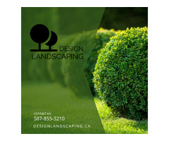 Design Landscaping | free-classifieds-canada.com - 1