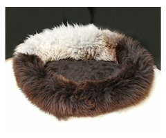 Dog beds. Animal sheepskin lair | free-classifieds-canada.com - 4