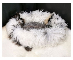 Dog beds. Animal sheepskin lair | free-classifieds-canada.com - 7