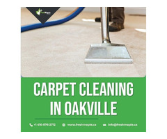 The Best Carpet Cleaning in Oakville by Fresh Maple | free-classifieds-canada.com - 1