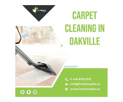 Carpet Cleaning in Oakville Services by Fresh Maple | free-classifieds-canada.com - 1