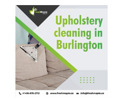 Best Upholstery Cleaning in Burlington by Fresh Maple | free-classifieds-canada.com - 1