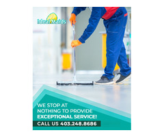 Standard Residential Cleaning Services in the Calgary Area | free-classifieds-canada.com - 1