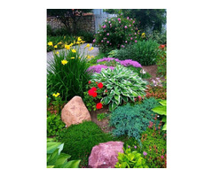 Garden Maintenance & Care  | free-classifieds-canada.com - 1