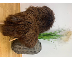 Long-haired, Bio-tanned sheepskins! Decorative sheepskins. | free-classifieds-canada.com - 6