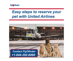 United Airlines Pet Reservations | FlyOfinder | free-classifieds-canada.com - 1